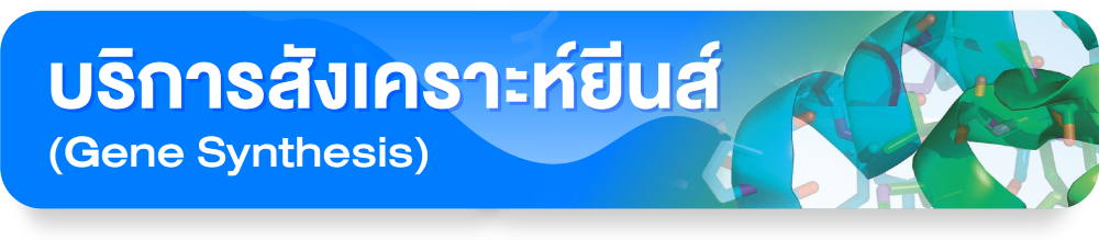 บริการสังเคราะห์ยีน (Gene Synthesis)
