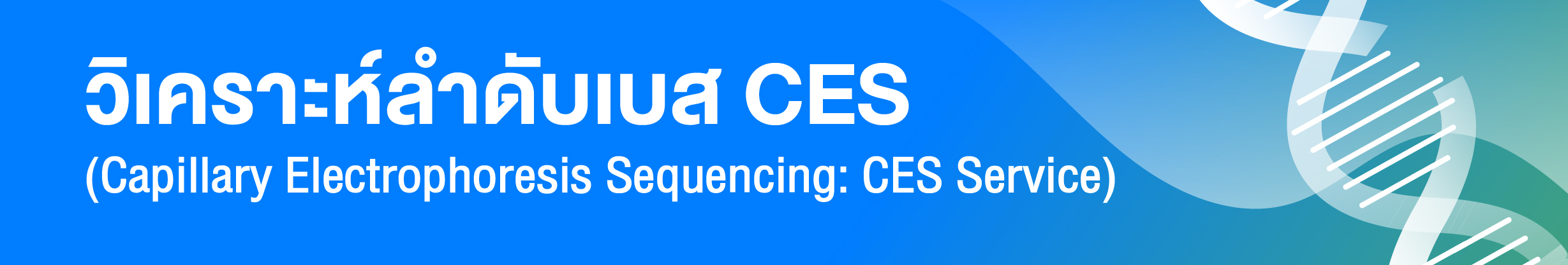 วิเคราะห์ลำดับเบส CES (Capillary Electrophoresis Sequencing: CES Service)