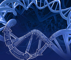 บริการสังเคราะห์ยีน (Gene Synthesis)