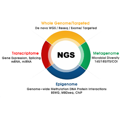 วิเคราะห์ลำดับเบส NGS (Next-Generation Sequencing: NGS Service)
