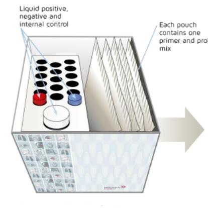 Fast Track Diagnostics lyophilised  kits