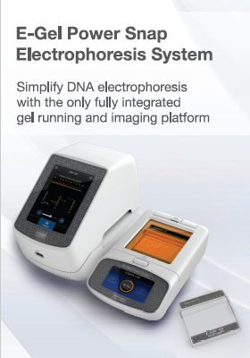 Invitrogen E-Gel Power Snap Electrophoresis System