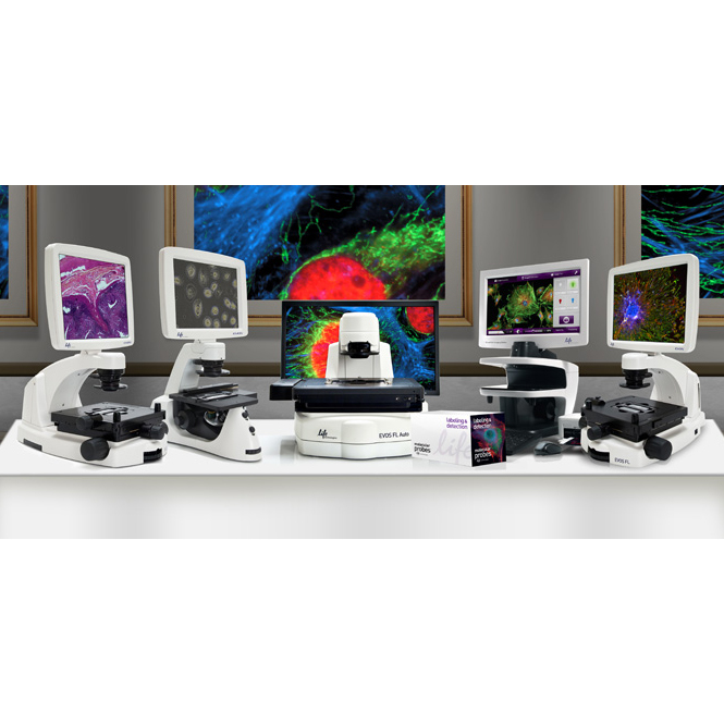 กล้องจุลทรรศน์หัวกลับ  (Inverted Microscope) EVOS™ Imaging System