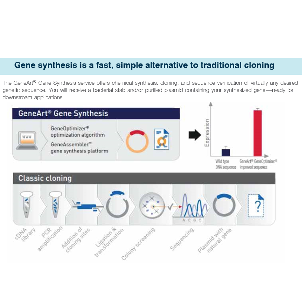 GeneArt Gene Synthesis service 