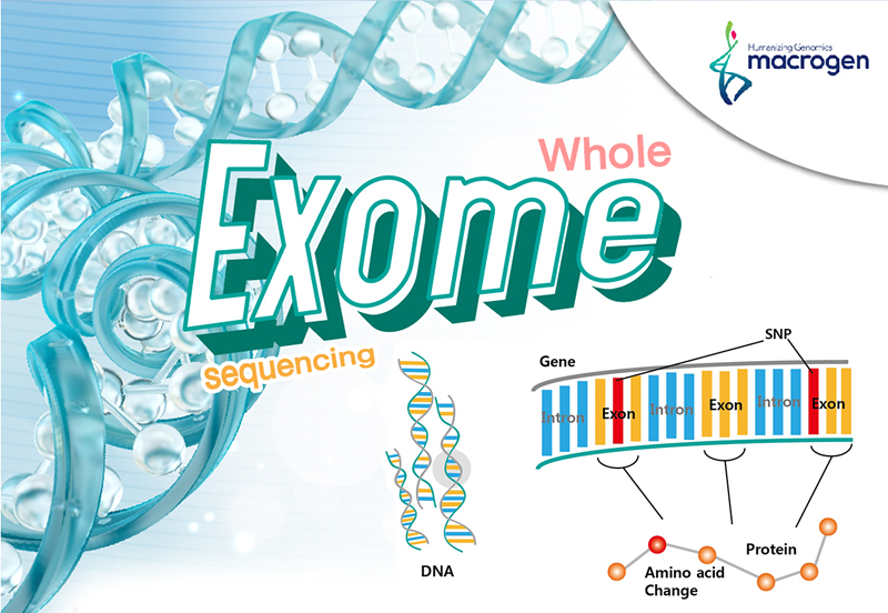 Whole exome sequencing