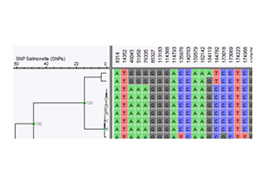 Whole genome sequencing