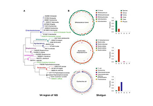 Metagenome sequencing 