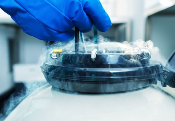 Recovery™ Cell Culture Freezing Medium