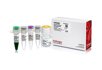 Platinum™ Direct PCR Universal Master Mix