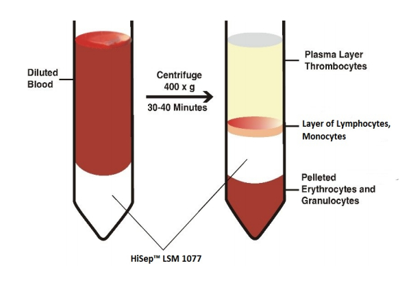HiMedia HiSep™ LSM1077