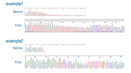 Difficult DNA Template sequencing