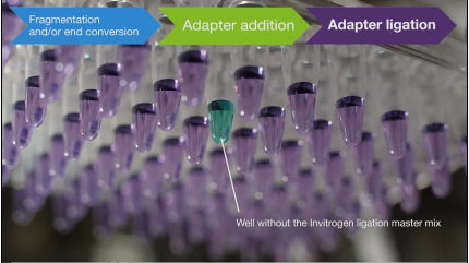 Collibri library preparation kit for Next Generation Sequencing