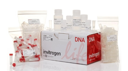 PureLink™ Microbiome DNA Purification Kit