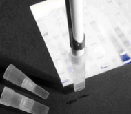 Gel X นวัตกรรมใหม่สำหรับการตัดเจล