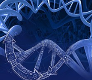 GeneArt® Gene Synthesis and Services