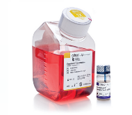  Essential 8™  Medium