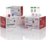 GeneArt® gene synthesis kit
