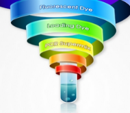 OnePCR™ PLUS  The No.1 PCR Supermix