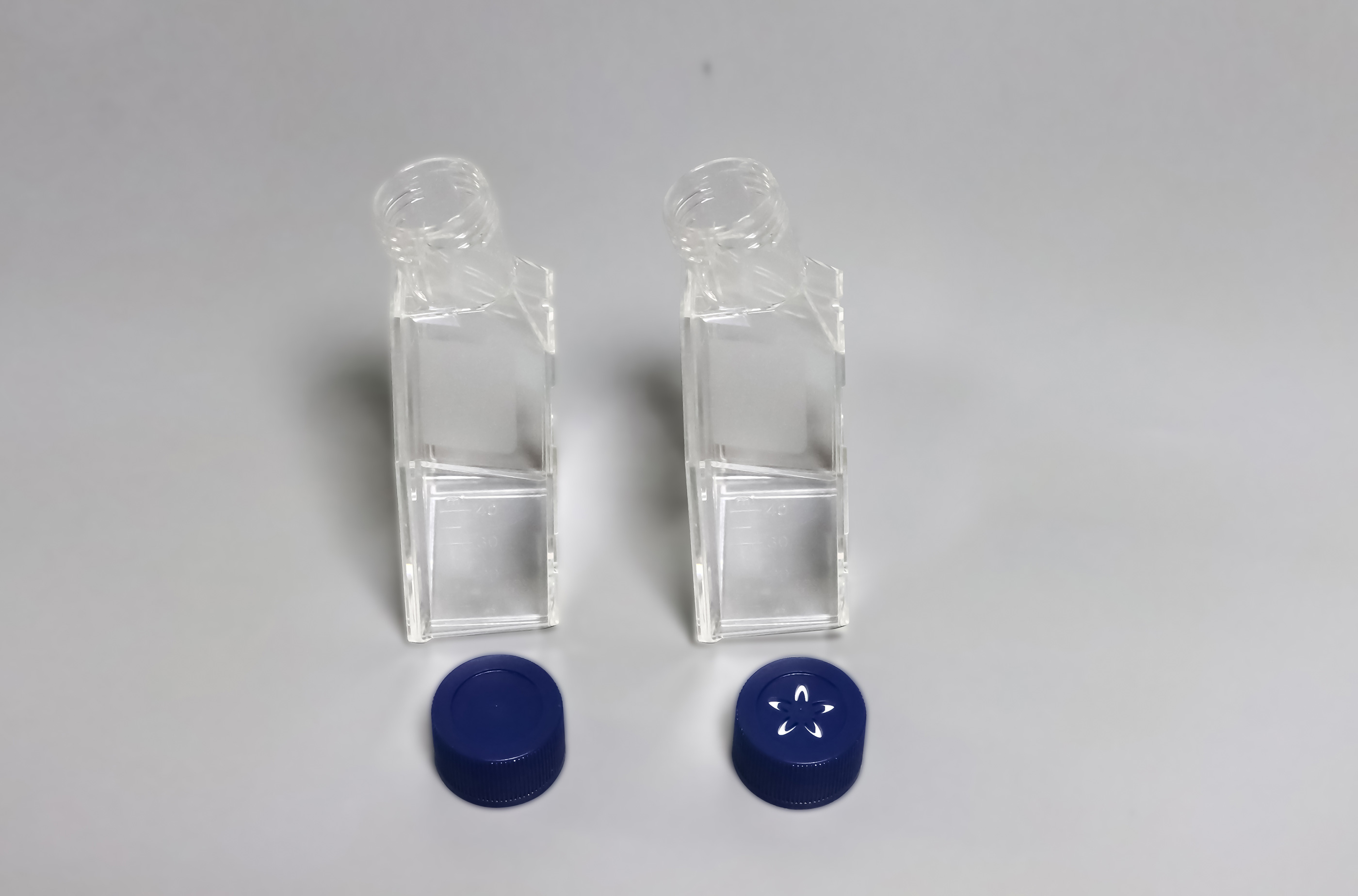 25CM 2 CELL CULTURE FLASK, VENT CAP, PS, TC TREATED, STERILE, 10 PCS/BAG