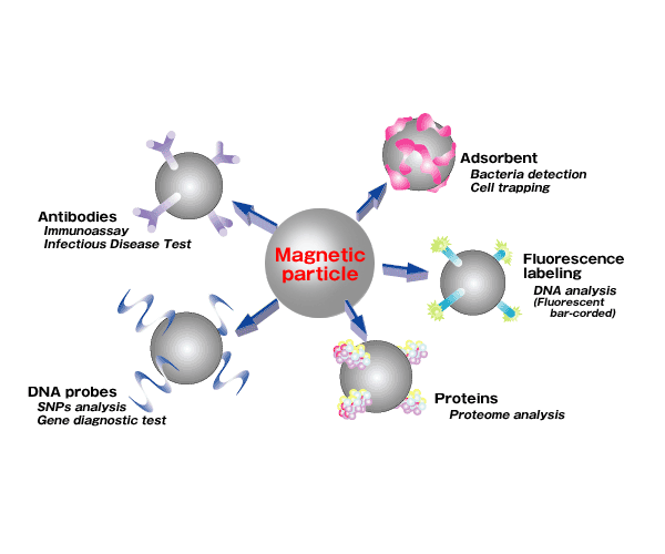 Fully Automated Nucleic Acid Purification System