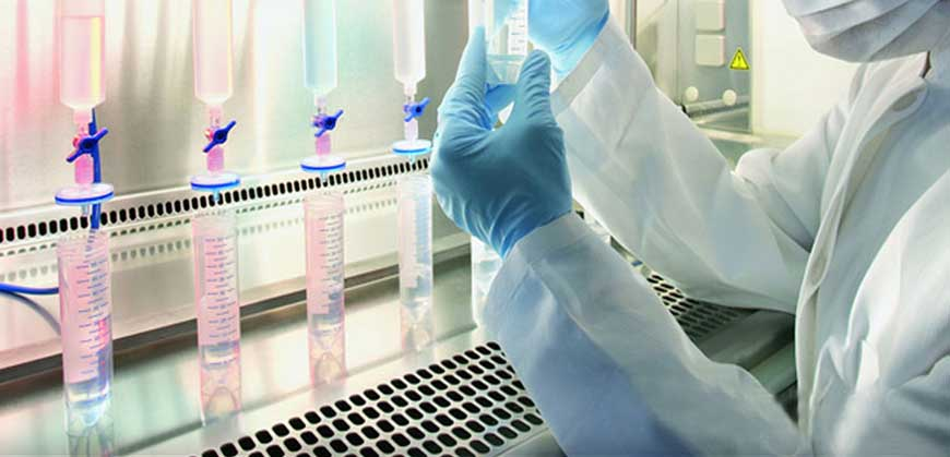 การแสดงออกของโปรตีน (protein expression ) ในแบคทีเรีย