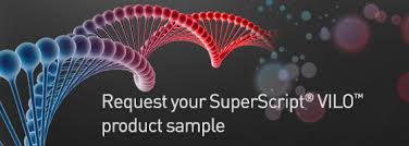 SuperScript® VILO™ cDNA synthesis system