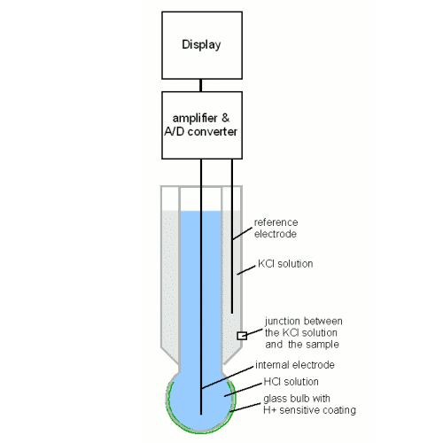 In-situ Measurements within Fermenters part I