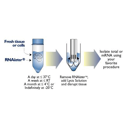 RNAlater®  reagent