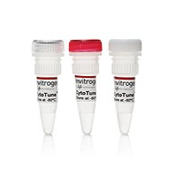 CytoTune™-iPS Reprogramming