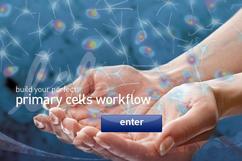 Primary Cell Workflow Tool