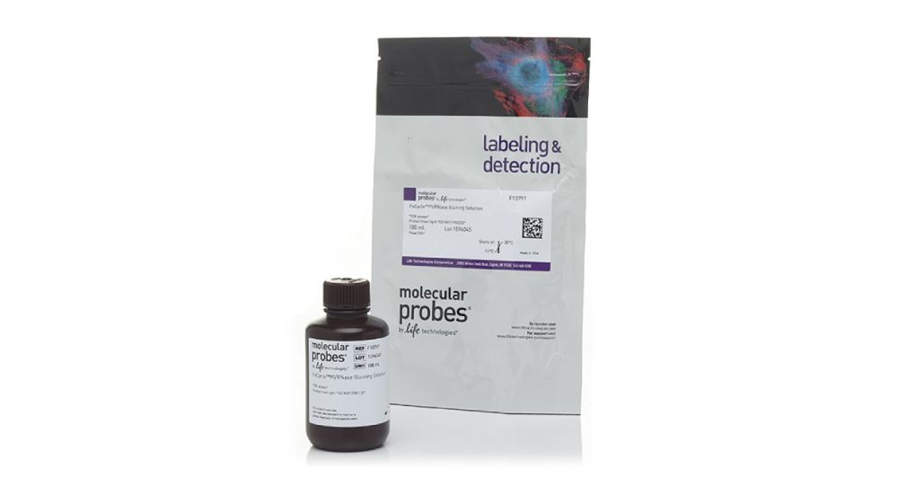 Invitrogen™ FxCycle™ PI/RNase Staining Solution