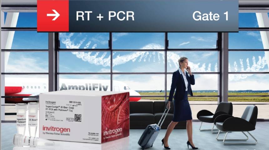 SuperScript™ III One-Step RT-PCR System with Platinum™ Taq DNA Polymerase