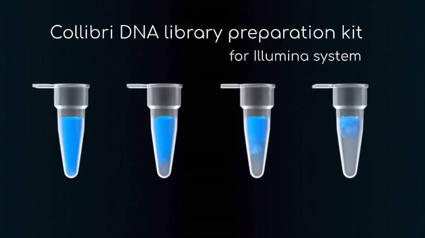 Collibri DNA library preparation kit for Illumina system