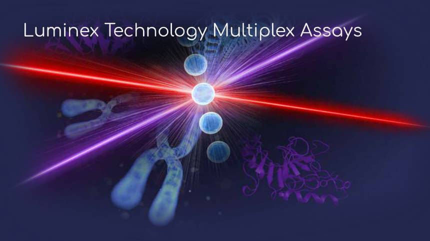 Luminex Technology Multiplex Assays
