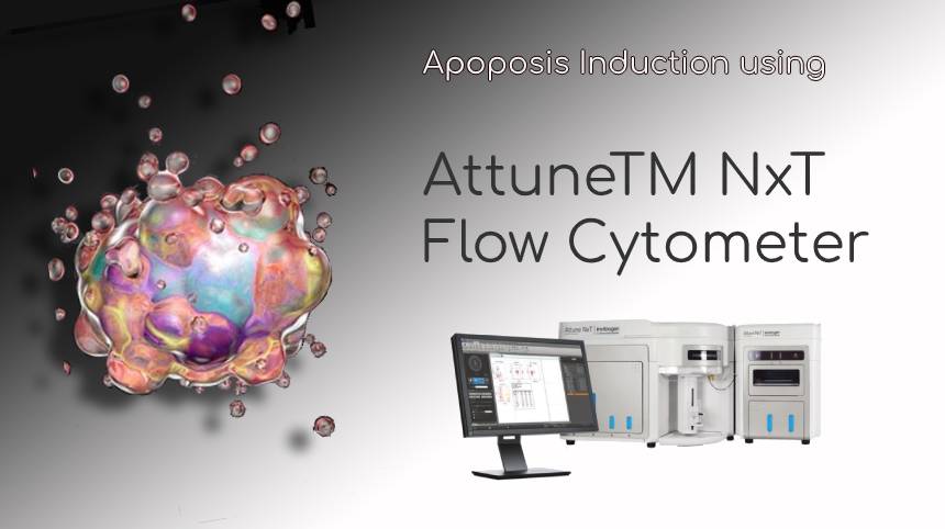 Apoptosis Induction using AttuneTM NxT Flow Cytometer