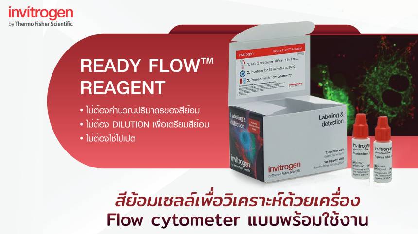 Invitrogen™ Ready Flow™ Reagent