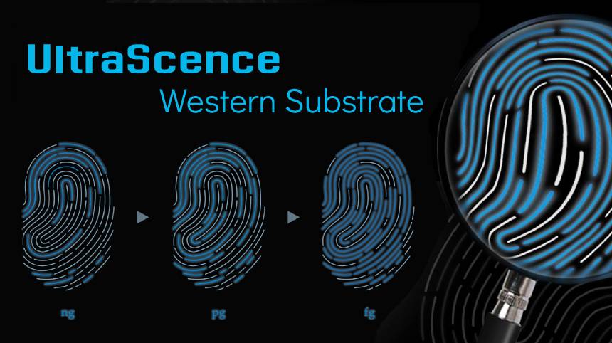 UltraScence TMB ELISA Substrate
