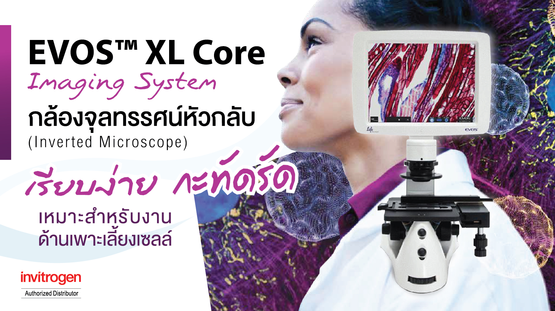 EVOS™ XL Core Imaging System กล้องจุลทรรศน์หัวกลับ (Inverted Microscope) 