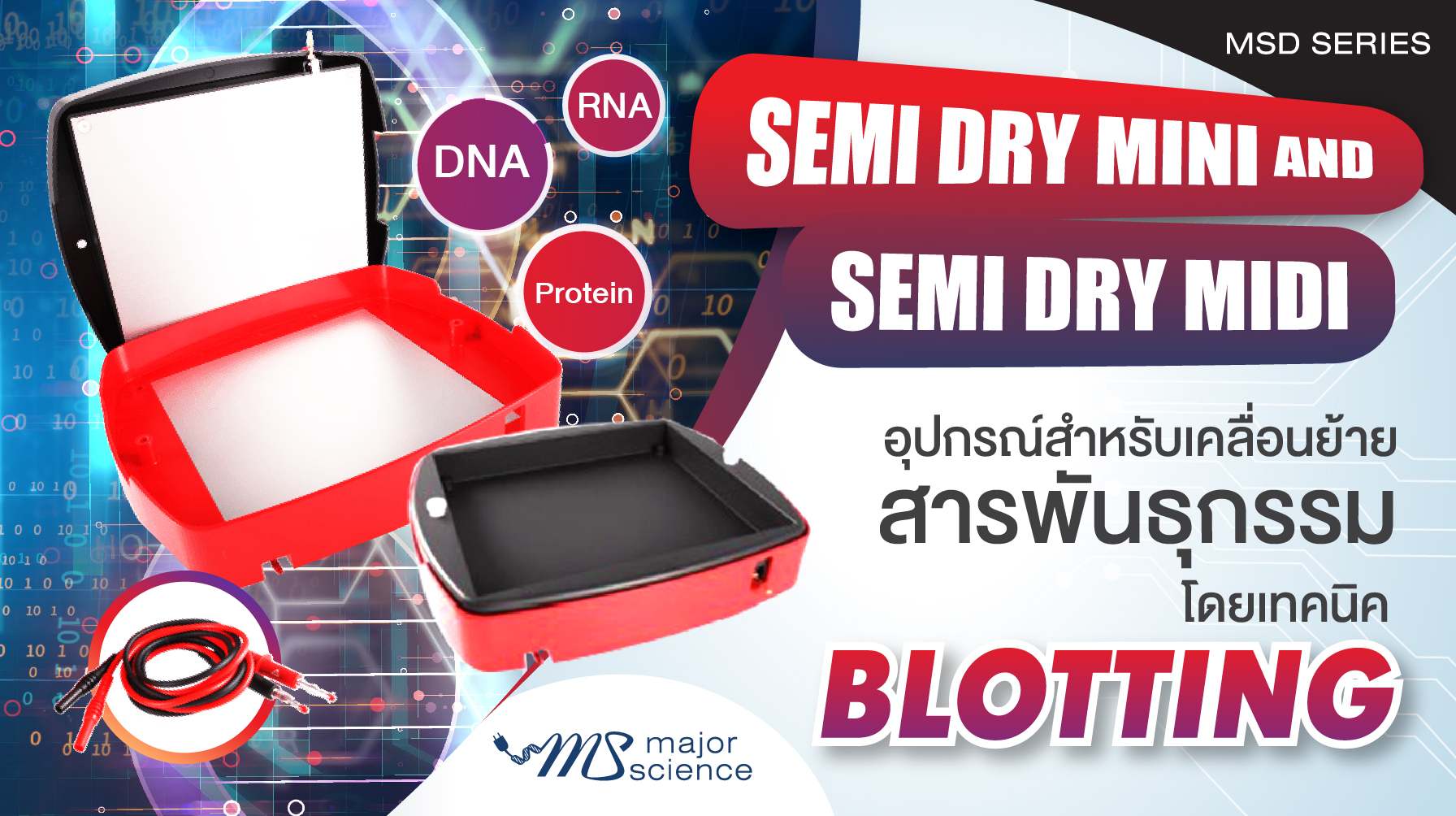 Semi Dry Blotting