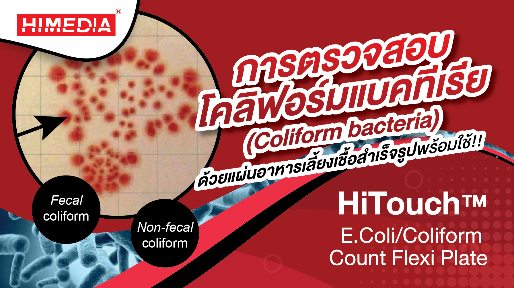 การตรวจสอบโคลิฟอร์มแบคทีเรีย (Coliform bacteria)