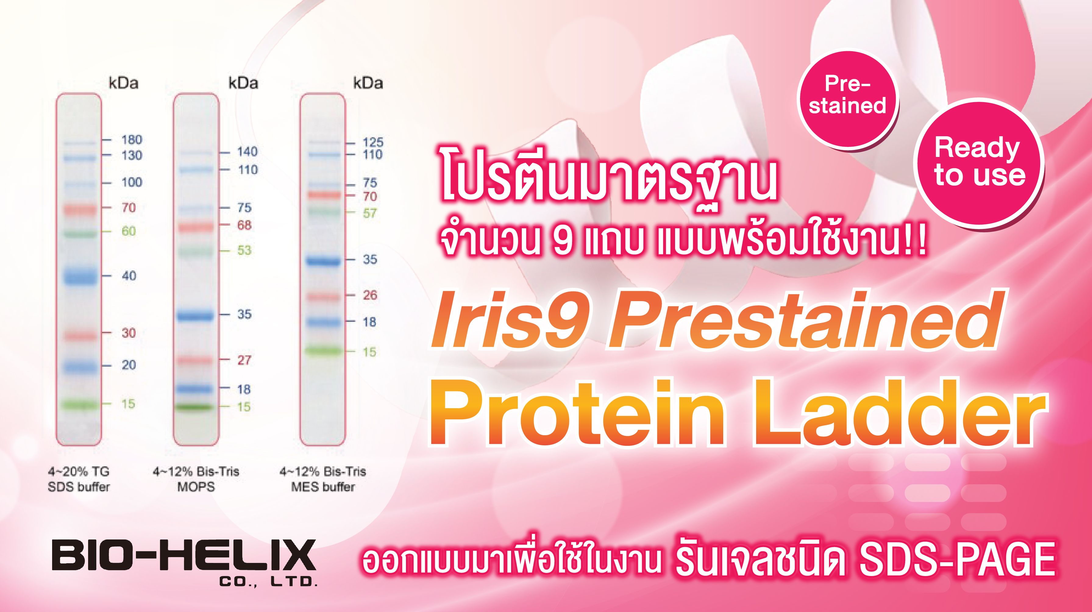 Iris9 Prestained Protein Ladder  (15 to 180 kDa)