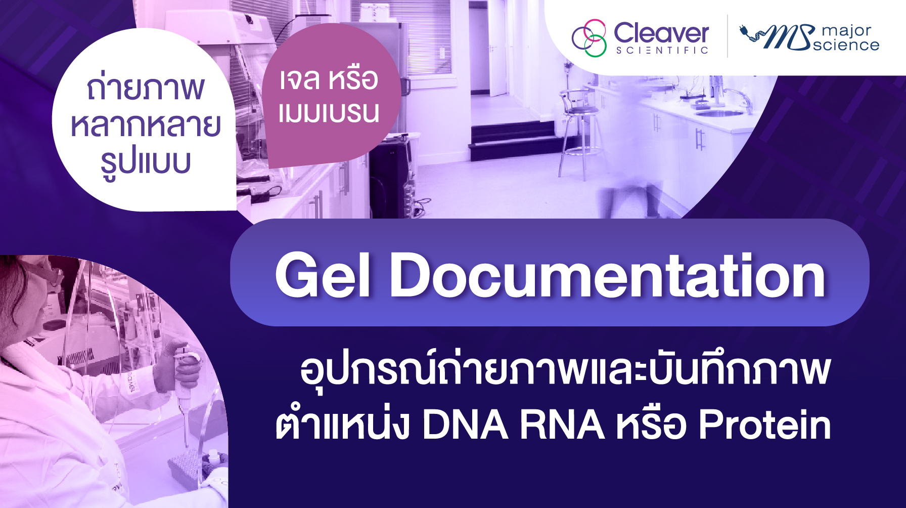 Gel Documentation