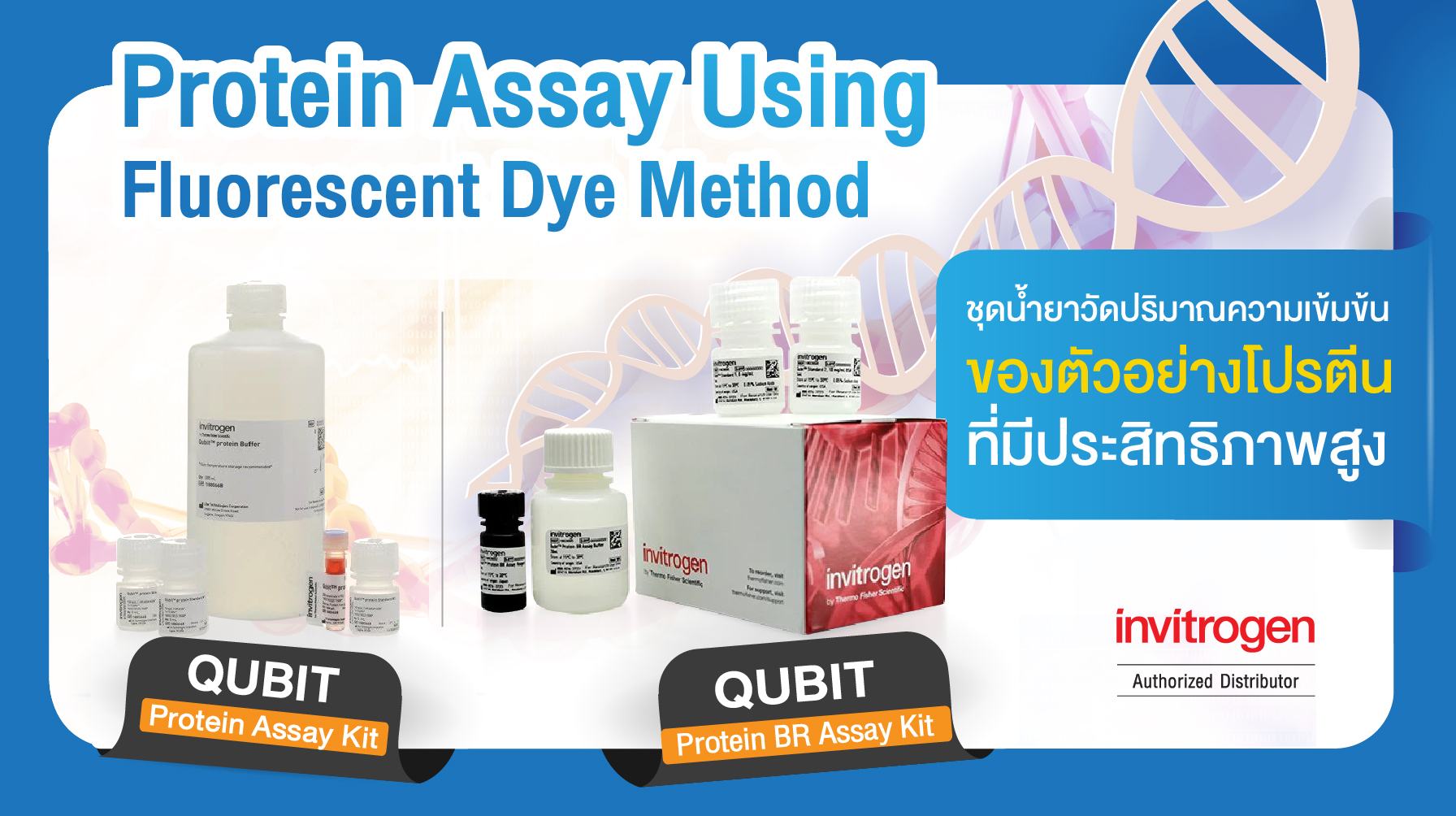 Protein Assay using Fluorescent Dye Method