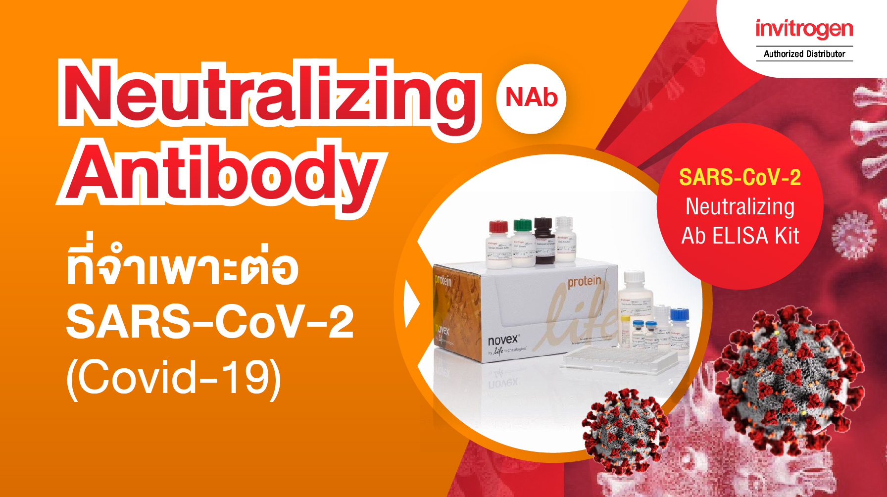 การตรวจหาแอนติบอดีชนิด neutralizing antibody (NAb) ที่จำเพาะต่อ SARS-CoV-2 (Covid-19)