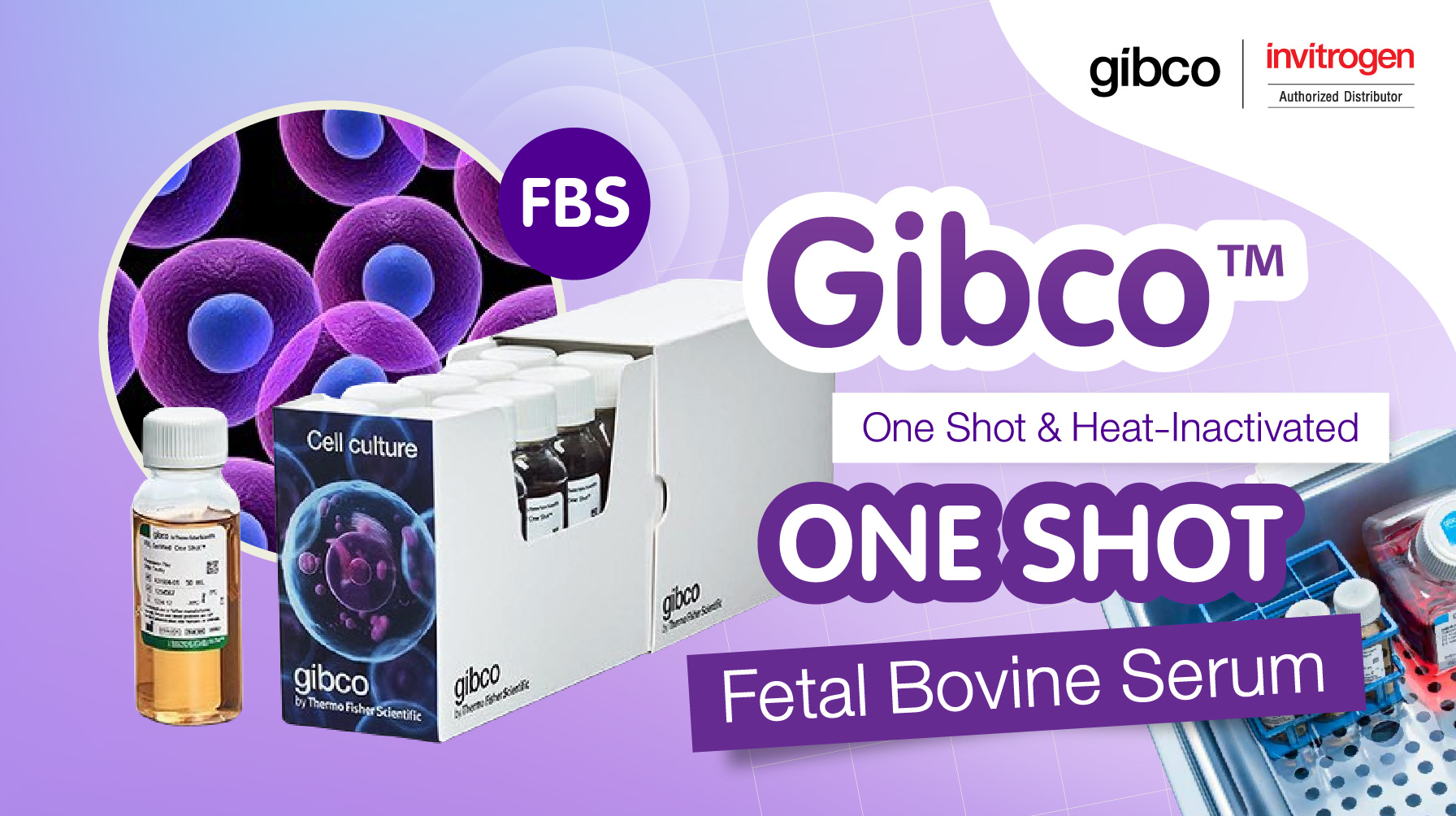 Gibco™ One Shot & Heat-Inactivated One Shot Fetal Bovine Serum (FBS)