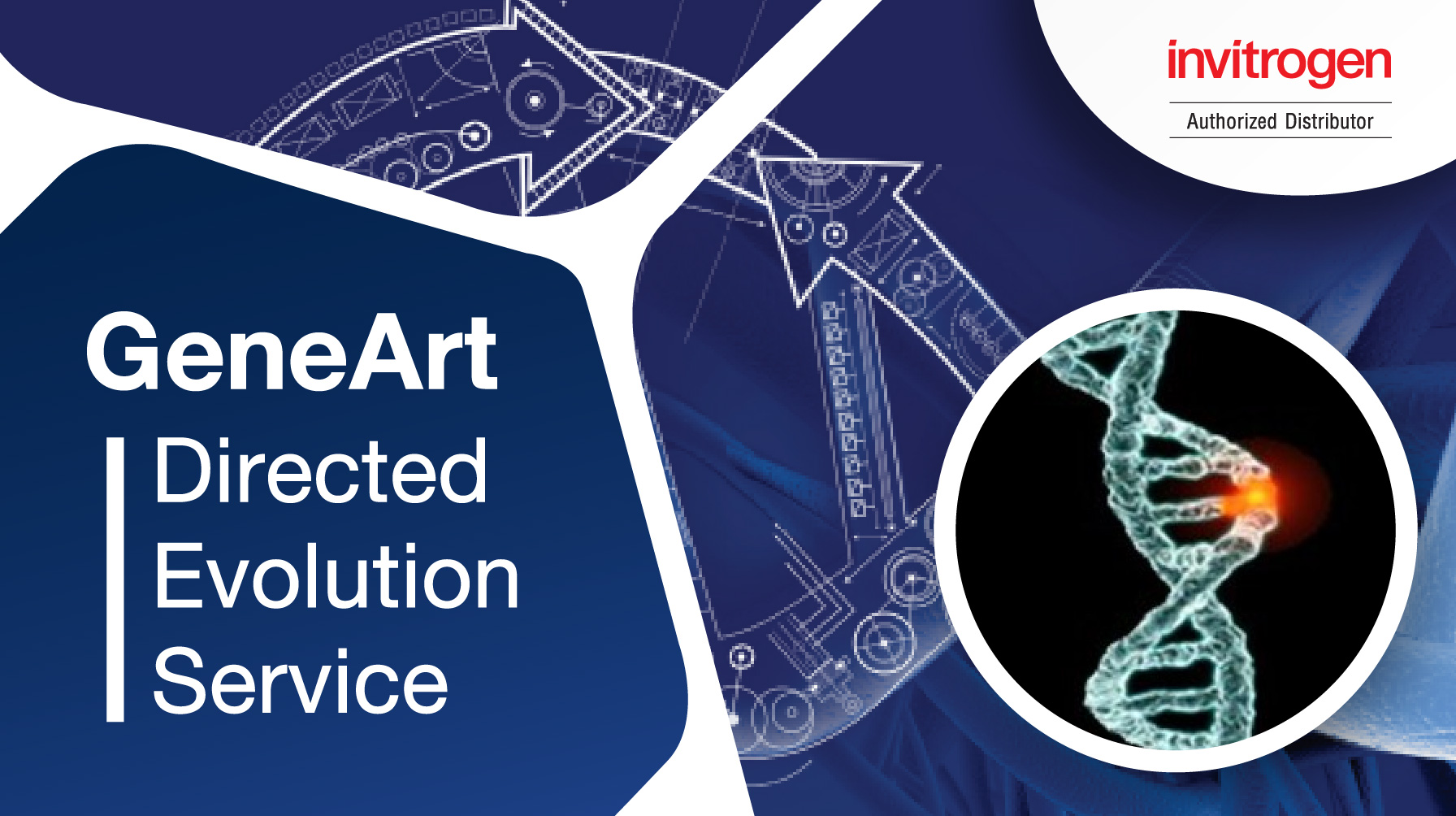 GeneArt Directed Evolution