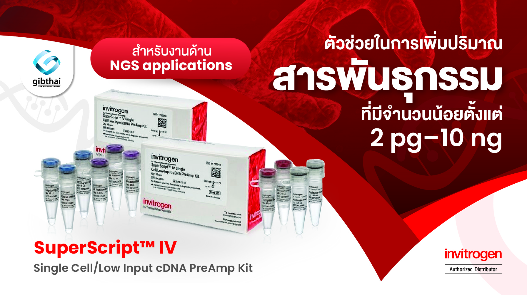 ชุดเพิ่มปริมาณสารพันธุกรรมจำนวนน้อยตั้งแต่ 2 pg–10 ng  SuperScript™ IV Single Cell/Low Input cDNA PreAmp Kit สำหรับ NGS applications