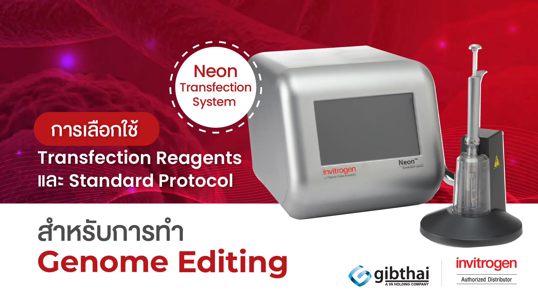 การเลือกใช้ transfection reagents และ standard protocol สำหรับ Neon transfection system ในการทำ genome editing 