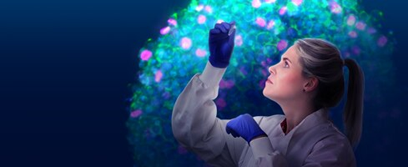 การเพาะเลี้ยงเซลล์แบบ 3 มิติ (3D cell culture) คืออะไร?