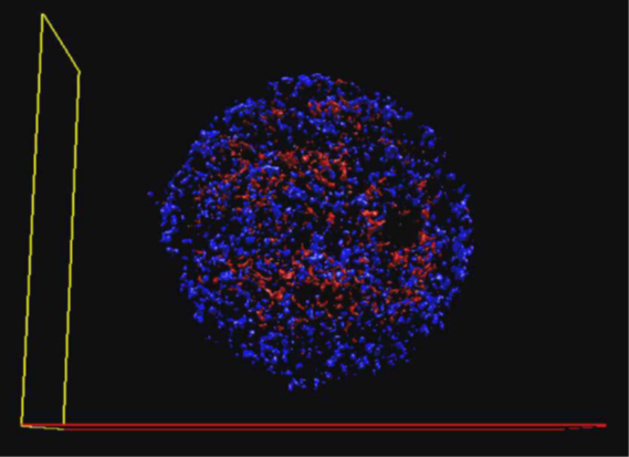 เครื่องมือที่จะช่วยในการถ่ายภาพเซลล์แบบ 3 มิติ (Visualization in 3D cell cultures)